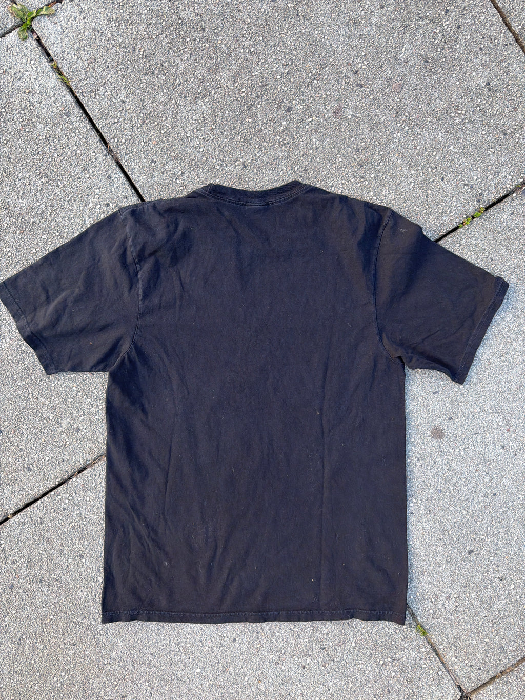 Stüssy – T-Rex „Big and Meaty" Pigment Dyed Tee (Black)